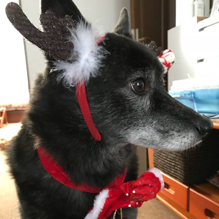 2a9fef7e 542f 4f24 98fc 4ce5bee5c9c1 1514074212078