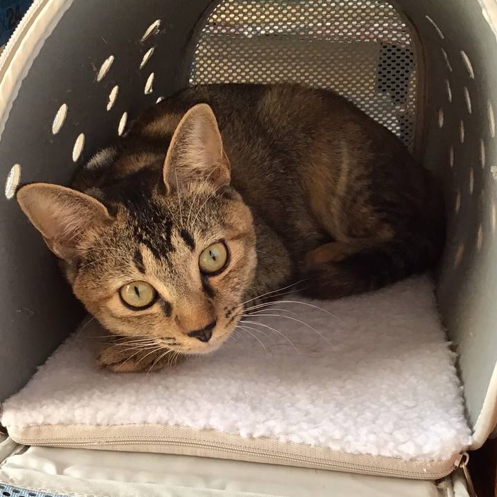 2a9ff069 3212 473e a57e a15dd6cb07f1 1669033154405