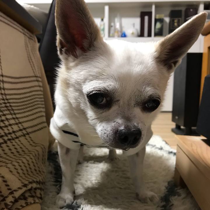 2a9ff599 77e3 4fde 875f c805d3d25846 1647312018697