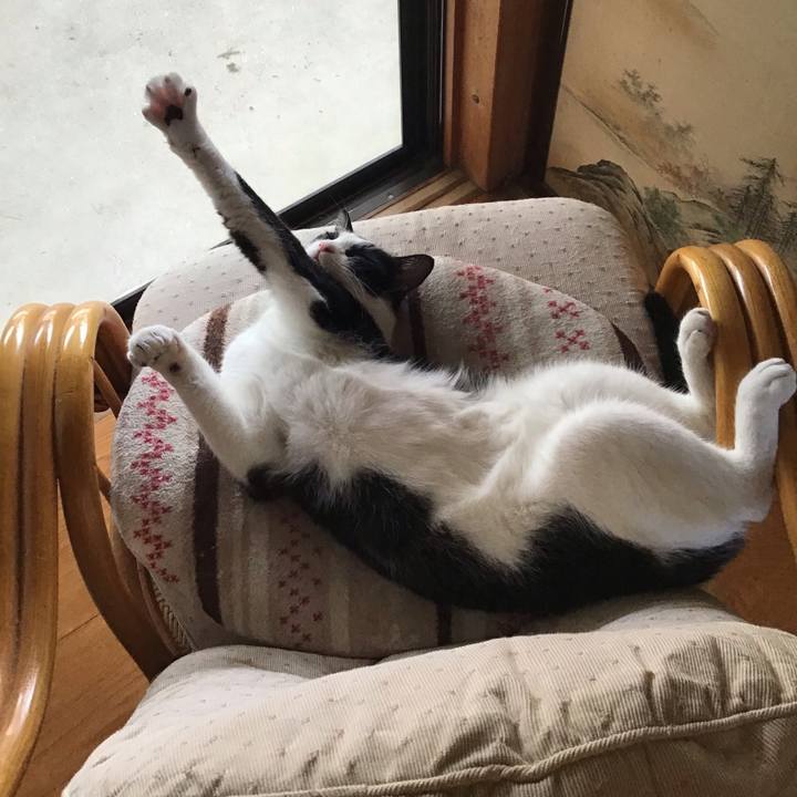 2aa01516 d17b 453a bc49 67aff93b0bdb 1659859103416