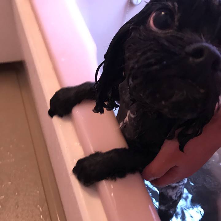 2aa01580 24a0 4dd5 a446 021f97c6057d 1558144292396