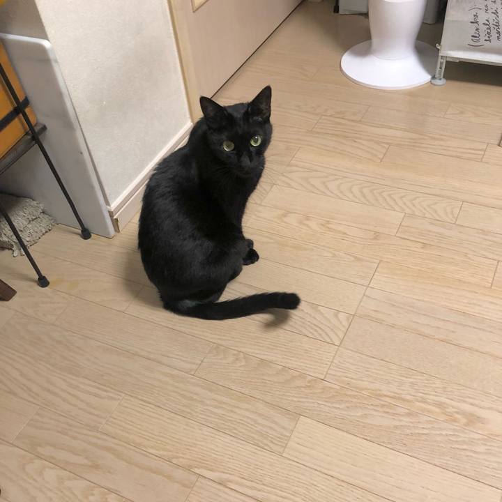 2aa03913 f9c3 4c55 a53e e587ccd407fe 1632836555999