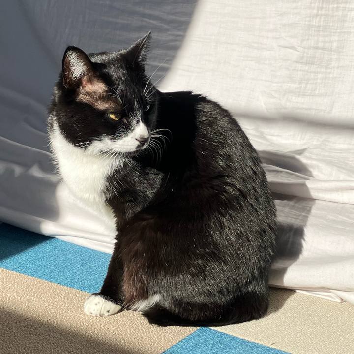 2aa04d4e d514 4c8c a5a9 70ae62673ddf 1743737504655