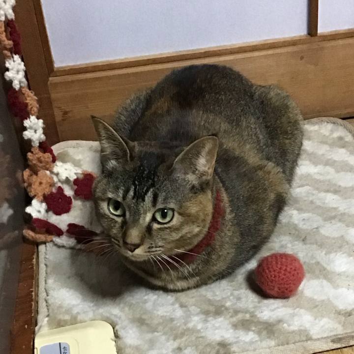 2aa0a0ad 895c 49f7 8fbe 137cf0d3000a 1642197689543