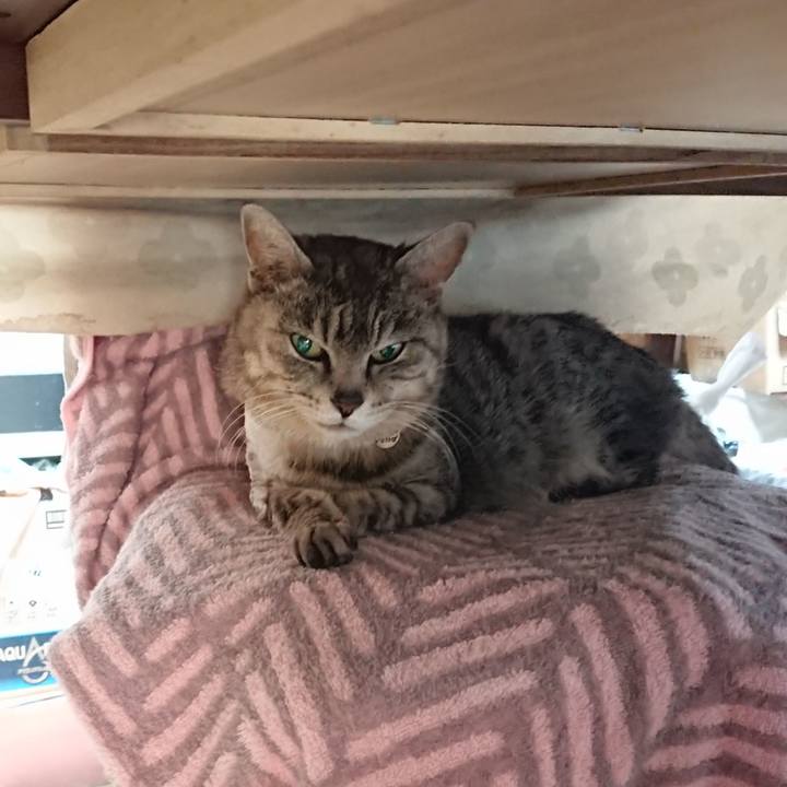 2aa0b54e eabd 412d 84ba acfc760f36d4 1588887713638