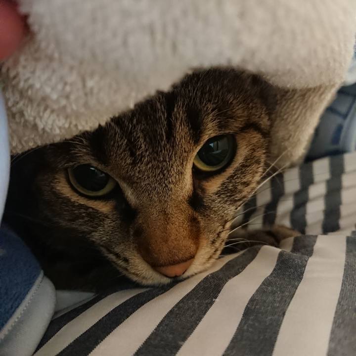 2aa0c7c3 1a32 4da8 b200 e8c59b3d924f 1538107124113