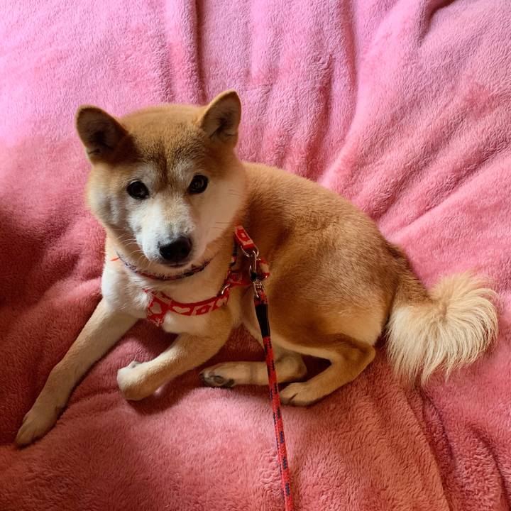 2aa0c89a 41b2 4039 9353 321c19ce494e 1579953557184