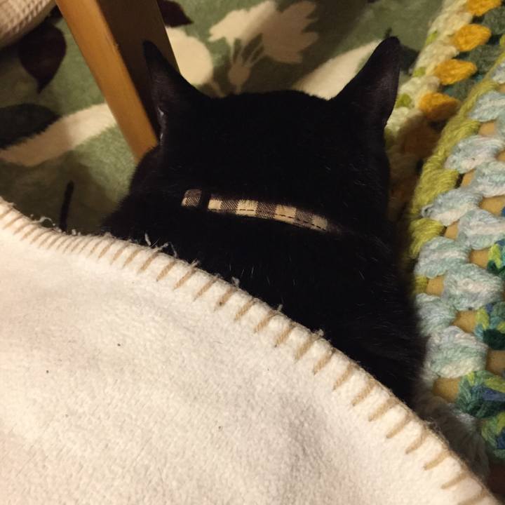 2aa0cef9 cd87 4185 8156 701f86cee0d4 1580211314445