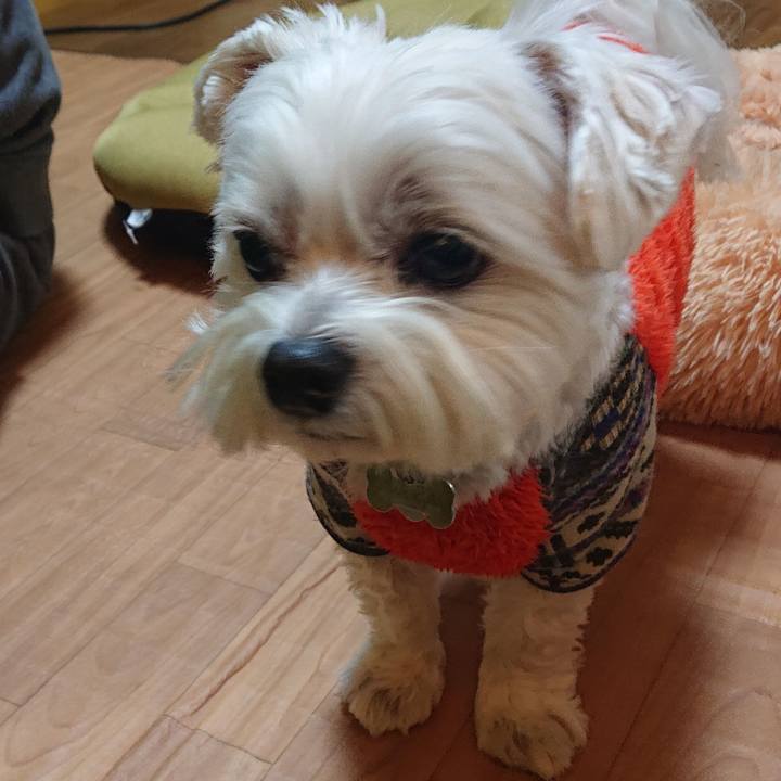 2aa0d2f0 b413 41b4 8003 6e4b1d8dab88 1608364479372