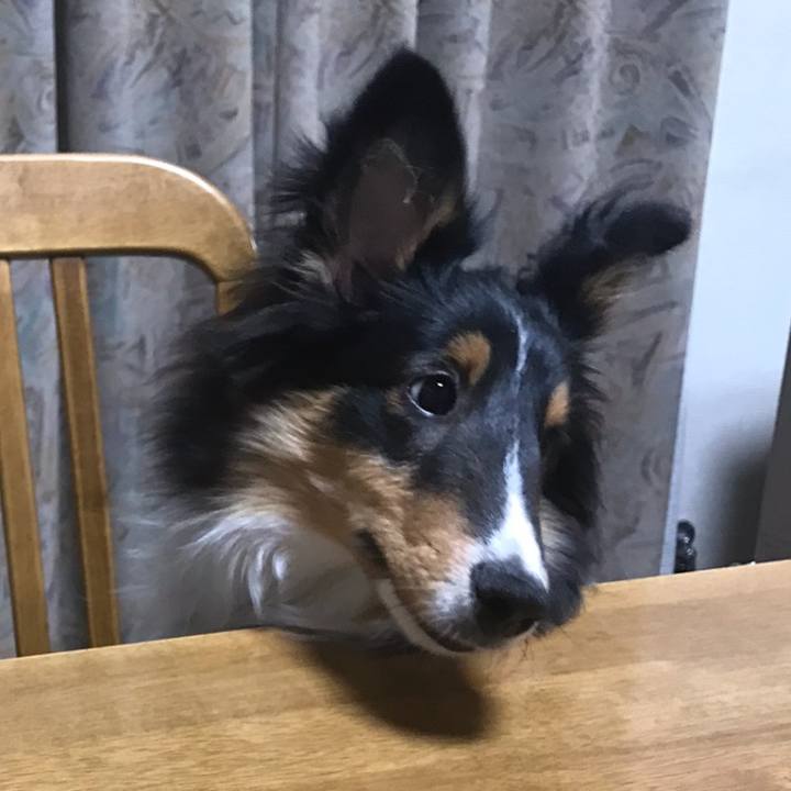 2aa0f3e0 5e99 4e90 9543 c9c5d3e9d58b 1520372914403