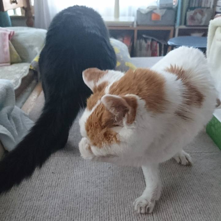 2aa11d71 b25f 4156 97e3 e4ea90b1930e 1625064904403