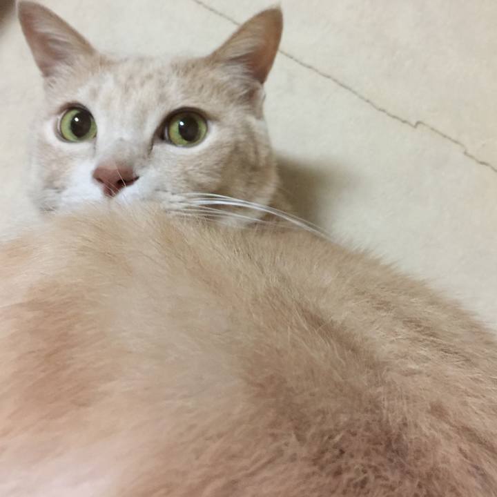 2aa12f4b fbba 4d2e ab89 6dafdefbda96 1584964411895