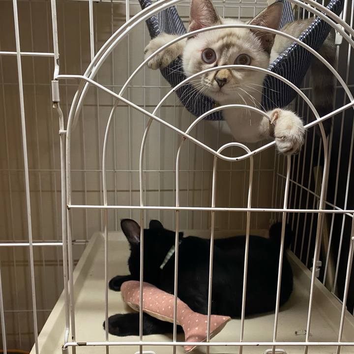 2aa13bca 1ee7 450d b7aa b0793e84ae33 1634375076327