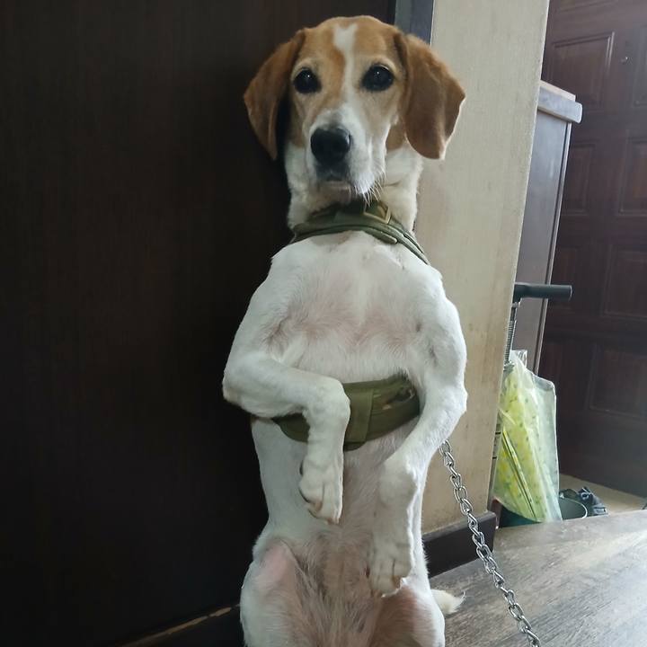 2aa14b80 c1a9 4b5a b836 c23c894d6394 1752480981945