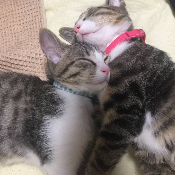 2aa17368 3e4c 46ca b688 31c7d15ff7b3 1657105206470