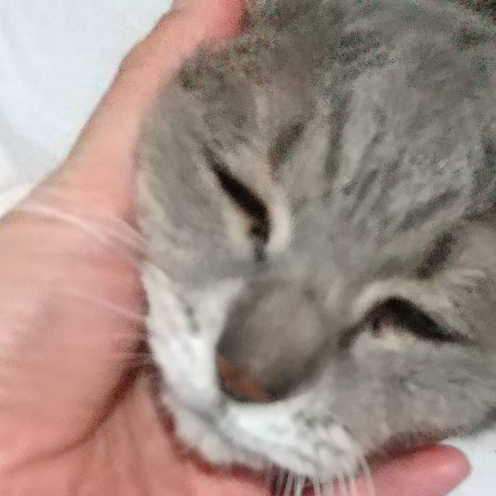 2aa1a1e3 f2b9 4c8c ab14 3257208538f8 1673769657738