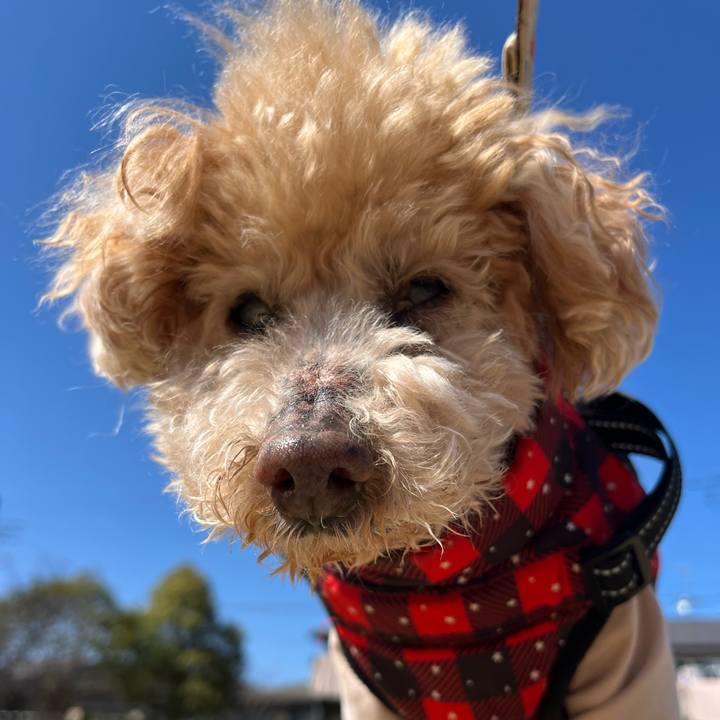 2aa1c563 5eaa 4209 8887 8aa2168ed305 1773297312178