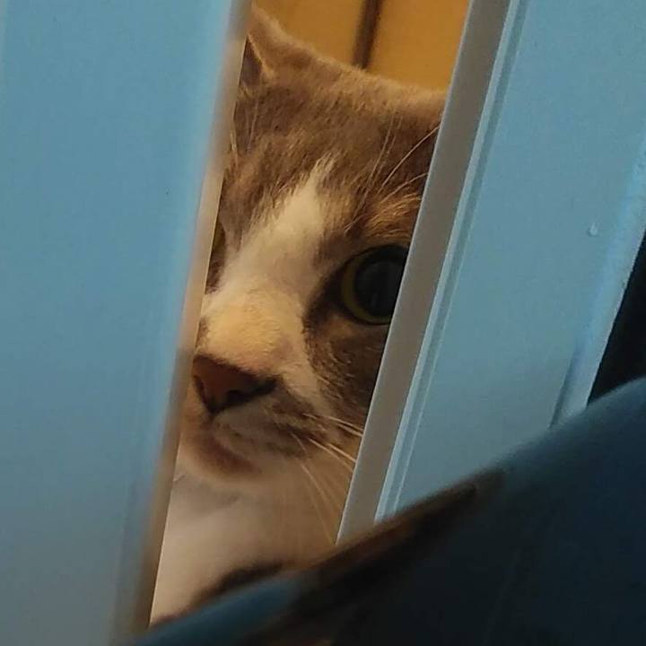 2aa1c7bb 7265 4d2f bbd5 fde9e508c3c7 1619445570192