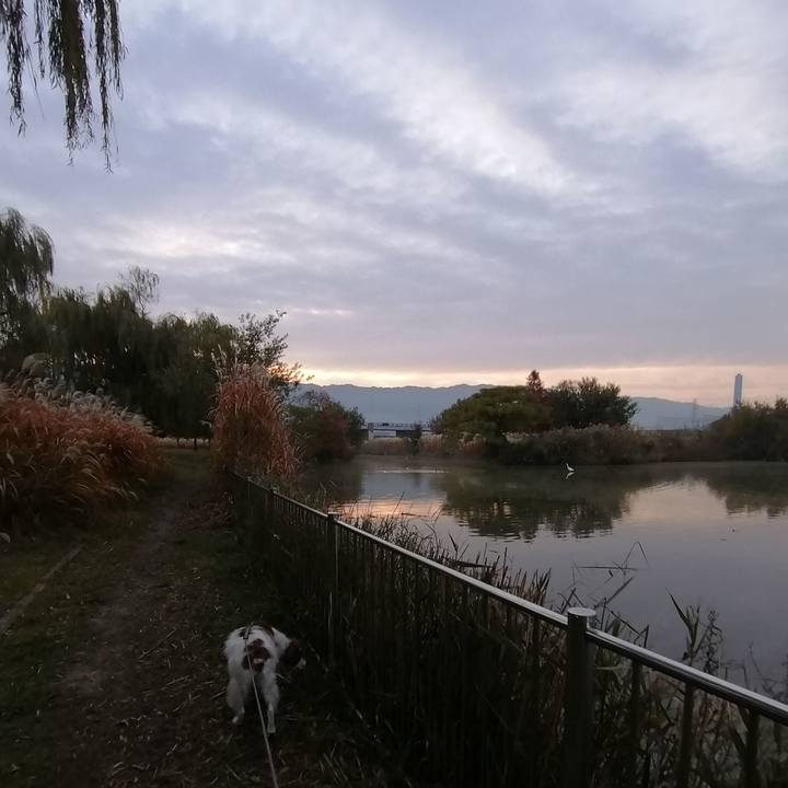 2aa1e0be 23c1 4dbd a8ab ff0e5dd60942 1574639857107