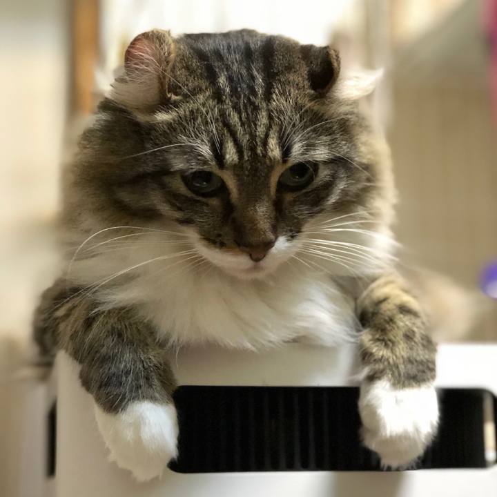 2aa1e4f3 3c36 461f a728 dba5a7c26a46 1543490477430