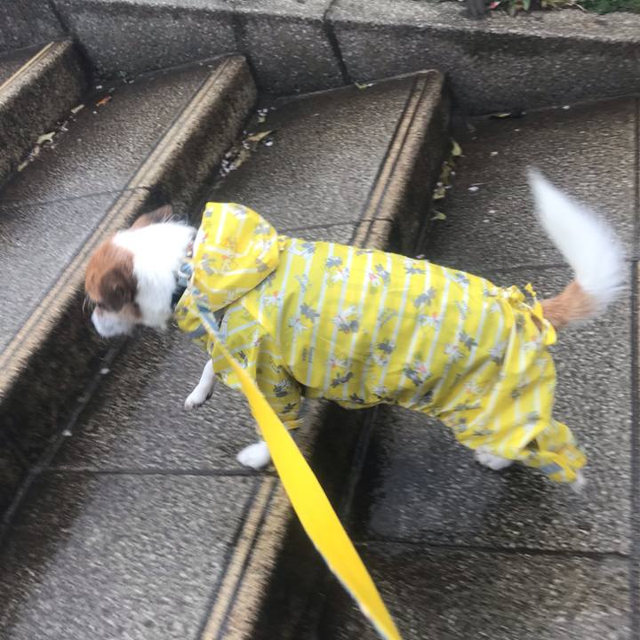 2aa1fc27 18ab 4a50 9107 1e7ac85f8a48 1554875029559