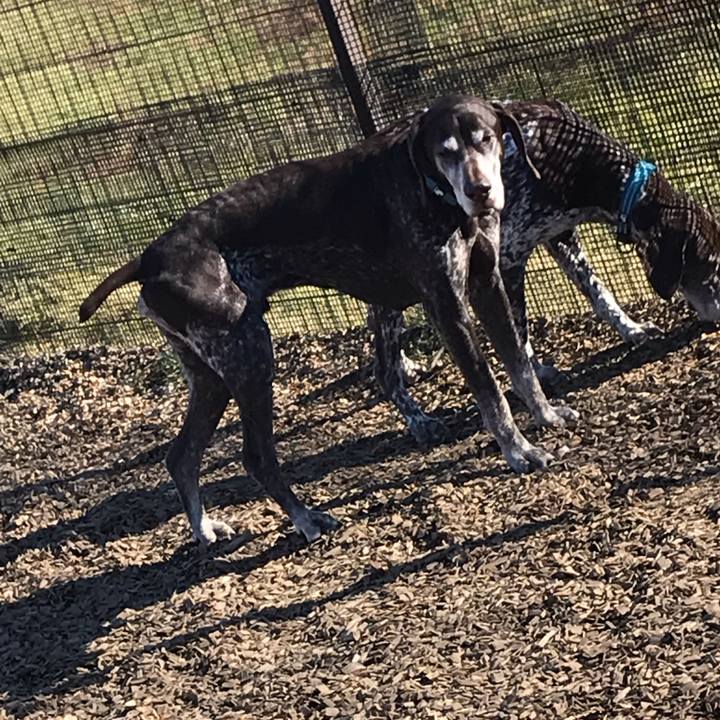 2aa28d9c 8bd4 4e8d 8fec 793146b13d9a 1542936829030