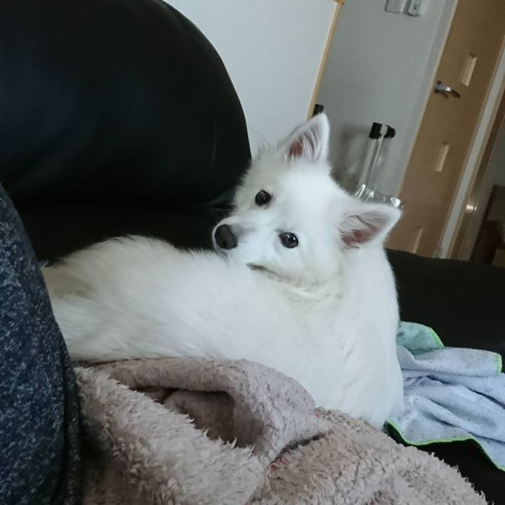 2aa2a890 377b 4501 993b e42e124afcba 1520315920806