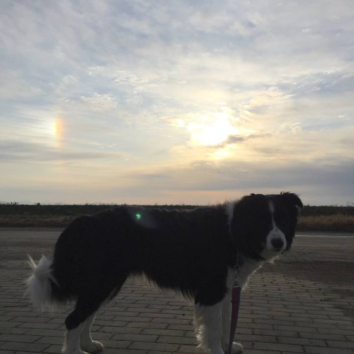 2aa2b693 bb6d 41c8 8338 c1cea11f4e58 1584055061553