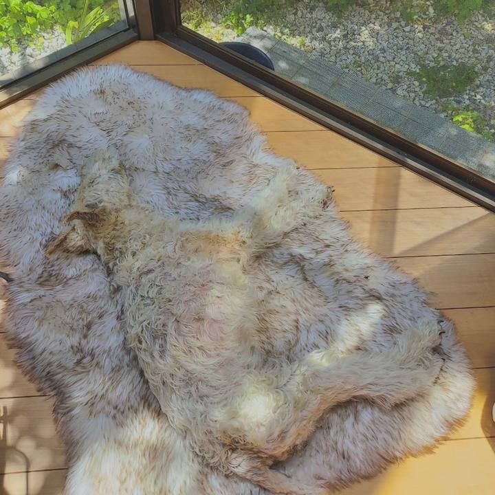 2aa2d198 a2d2 4231 8dba 82775642134c 1716198952126