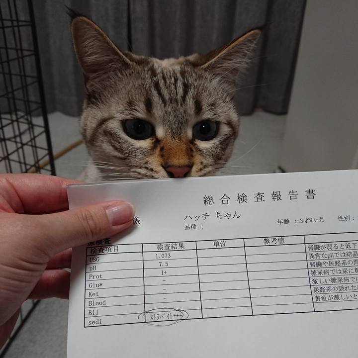 2aa2d1fc 5d82 45db 91f8 6b4681b5ee7a 1575114855917