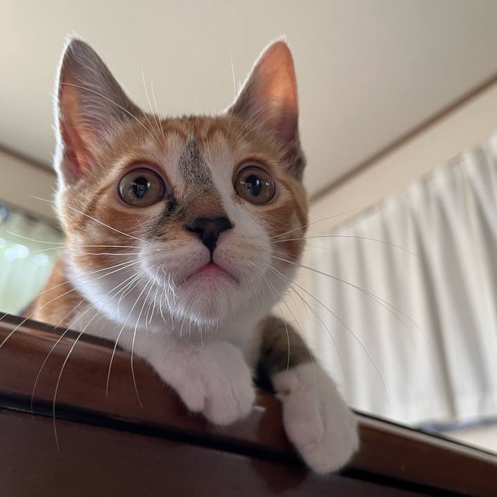 2aa2ddbd 0025 4f1a 9dba 83deb65acc67 1655872008297