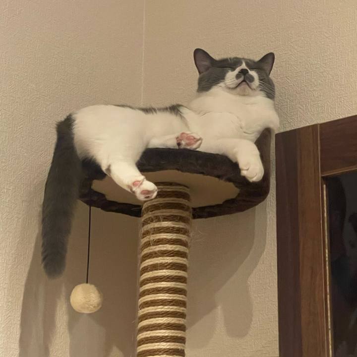 2aa37917 2f05 44ee 99b1 7ba3212bfeba 1694008124396