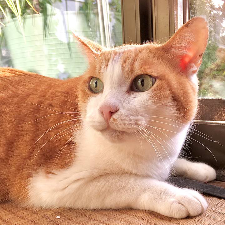 2aa38657 4449 4c0b 9beb 53cd616950e5 1575440493378