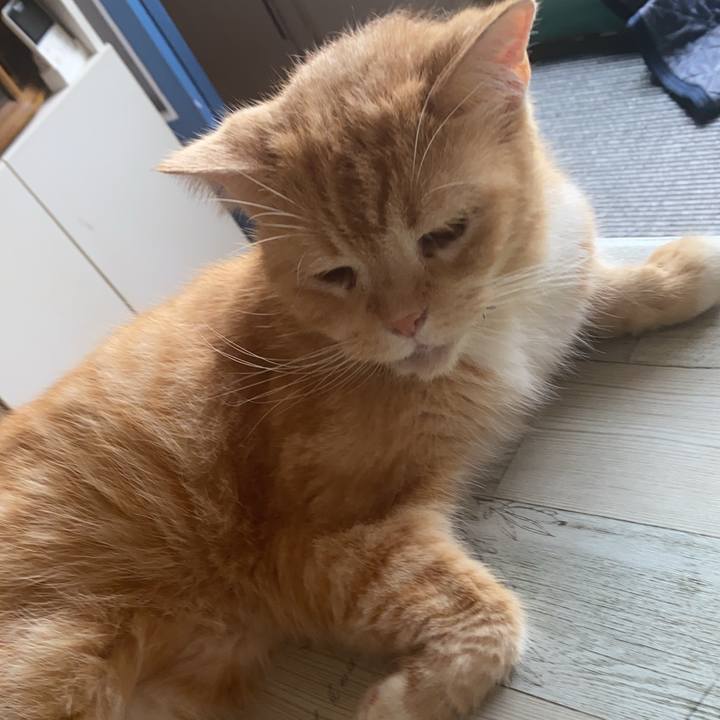 2aa3a201 911f 45a4 8be9 a492fd983c2b 1597022520293