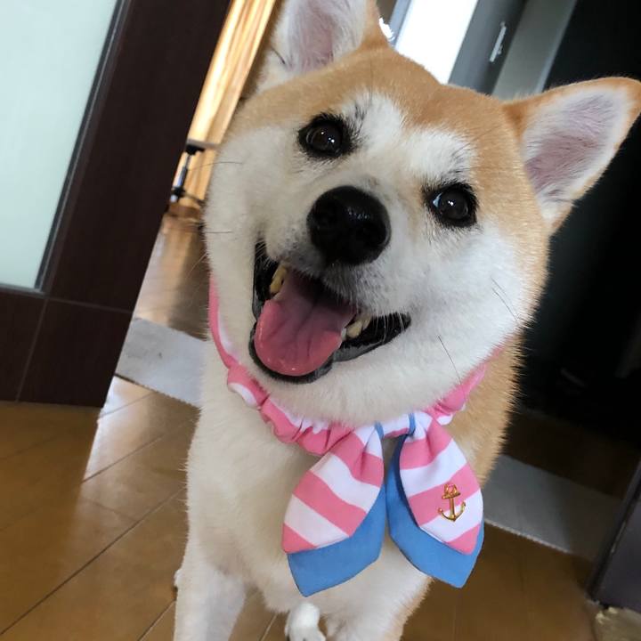 2aa3a318 bebe 4d46 834c e0f16e79e7a4 1533939750038