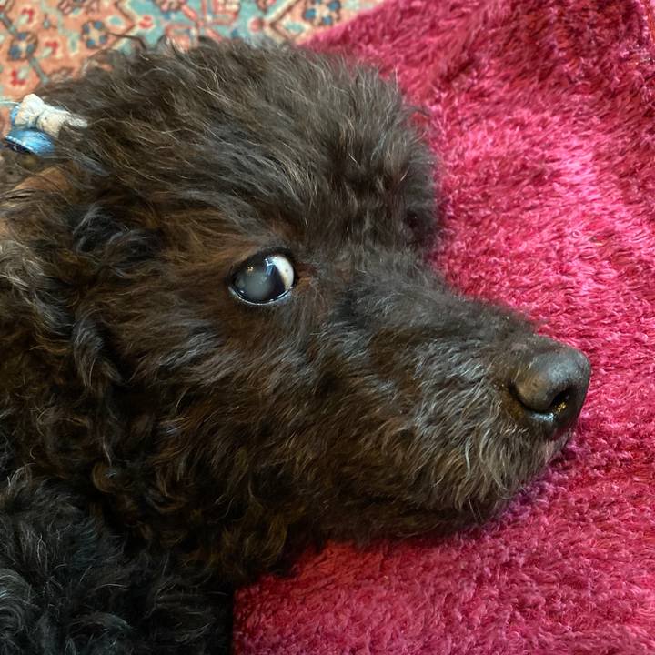 2aa3de59 d728 4b5d 8eb9 6db458fa66c8 1586234380486