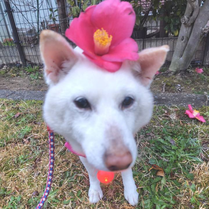 2aa40ca9 f3f0 42f6 b070 a498632bb7a8 1743931604963