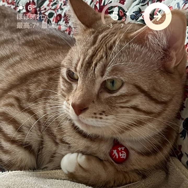 2aa40fa3 b028 4075 8df5 07884a7a7bb3 1676444976694