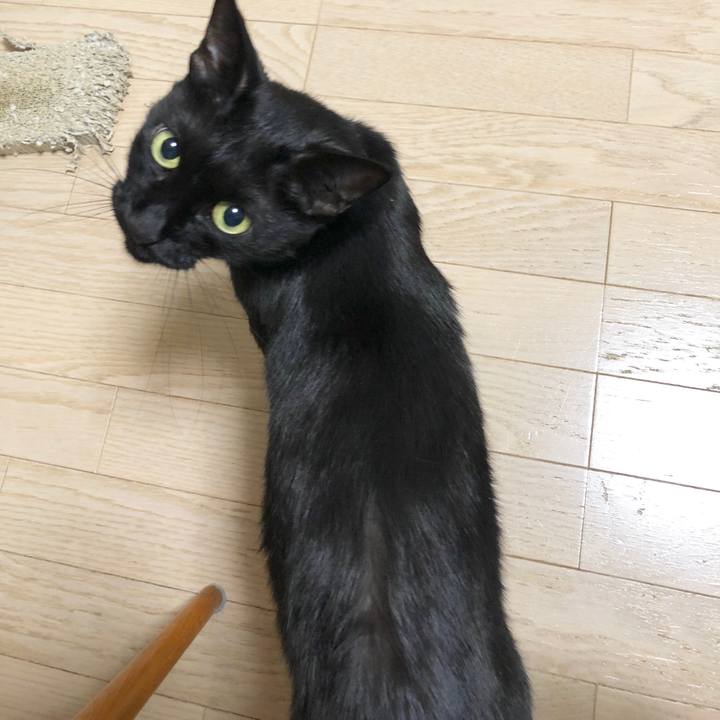 2aa410f1 e01d 470c bbb2 bdb338685d7f 1594126661017