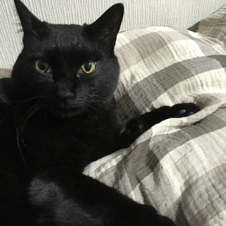 2aa4389a 33c3 420c b1d6 2fb728e115f8 1552567664511