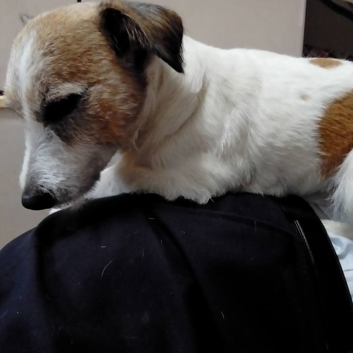 2aa449ca 7095 4d5f 9c63 65e86b55c6d7 1541317237200