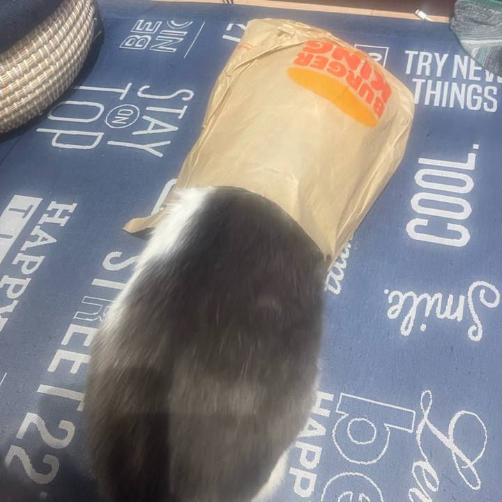 2aa44d47 45e4 4f63 b4c6 a2179688430b 1714320866975