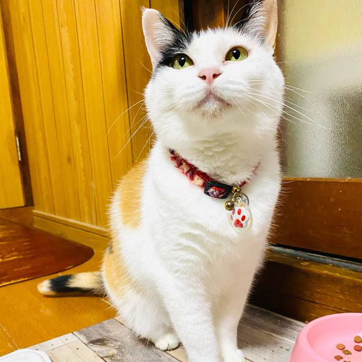 2aa4767e e025 4fb1 9c7d da8fd194832a 1719228884502