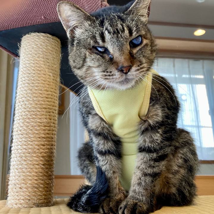 2aa48cc6 6c84 428b aea3 8ac676eb6a4a 1684711827444