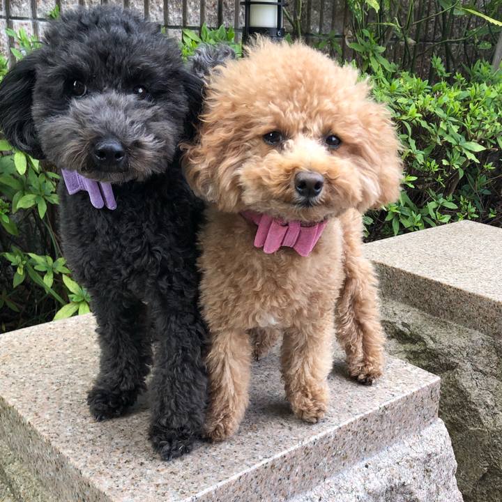 2aa4a4ea 396a 4156 96dd 3fc49797598e 1607443455385