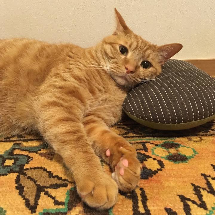 2aa5225b 181a 40fa b84f 91f318140cb6 1527249681100