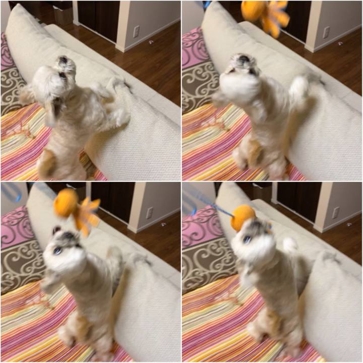 2aa52ca2 4311 4336 b11d bccbf9e309d0 1579170610471