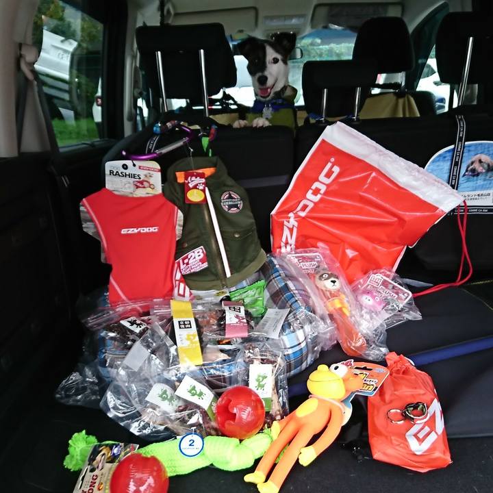 2aa54057 aff9 4279 8a36 a9b014cc50ad 1507960073615