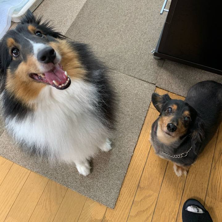 2aa5439d d62c 4a50 a167 64b4c35eb54c 1594937316242