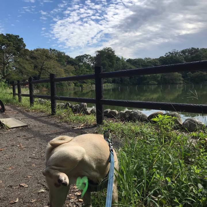 2aa54e77 6b44 4aaa b6f0 3d1063216926 1568858440232